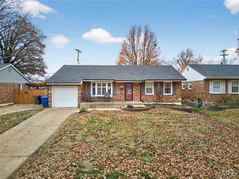 Photo of 3900 Louis Street, St Louis, MO 63116 (MLS # 25076232)