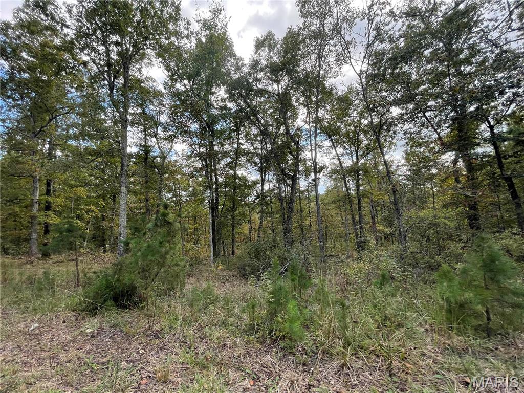 Woodland Heights - Land