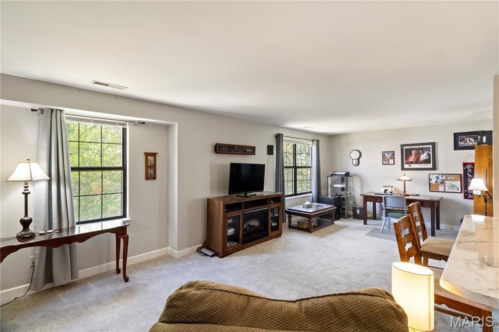 Photo of 9714 Raintree Village Drive #3F, Hillsboro, MO 63050 (MLS # 26025822)