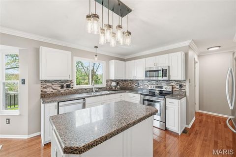 Tiny photo for 16762 Kingstowne Estates Drive, Wildwood, MO 63011 (MLS # 26022326)