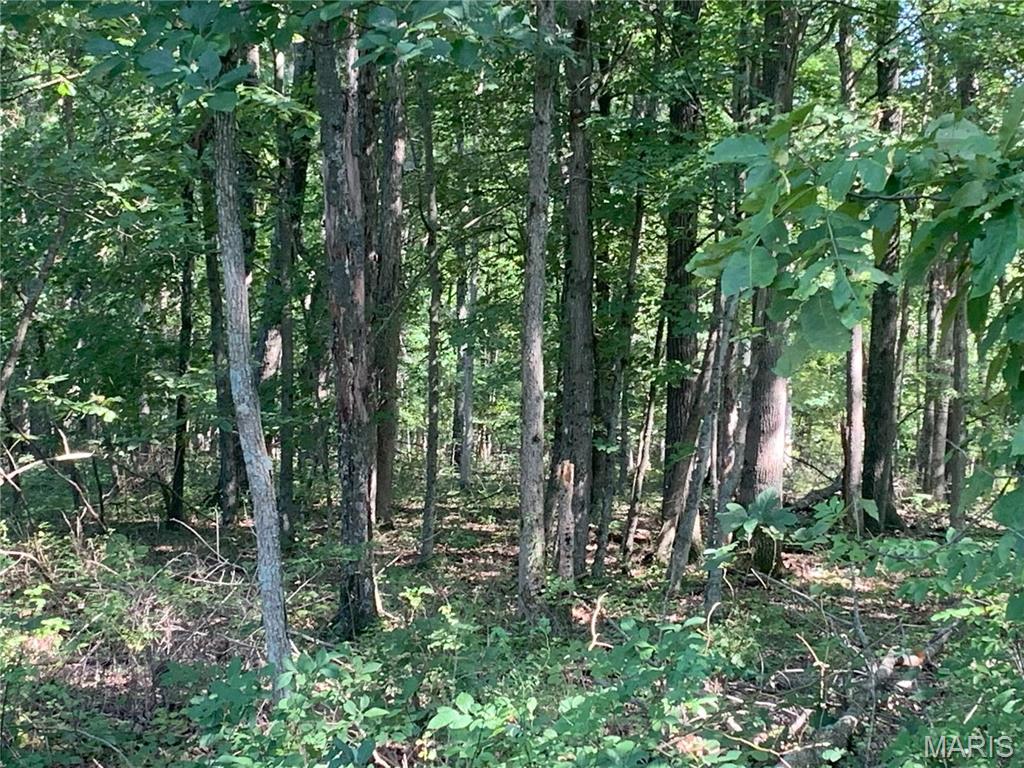 0 Tract 2A Polston Ln