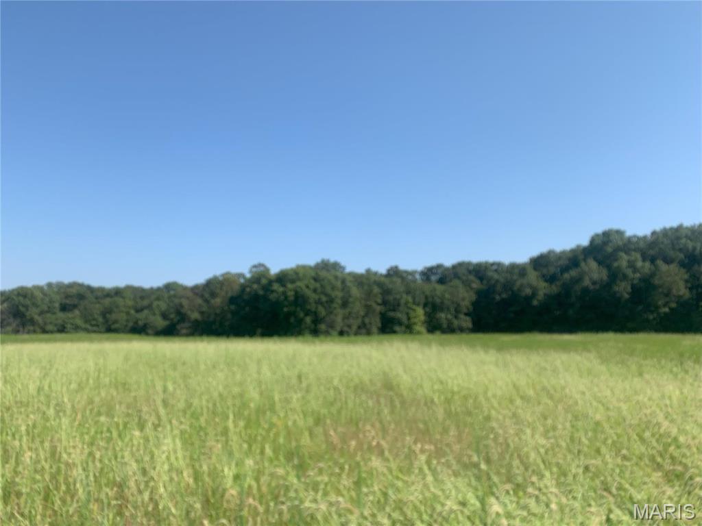 0 Tract 2A Polston Ln