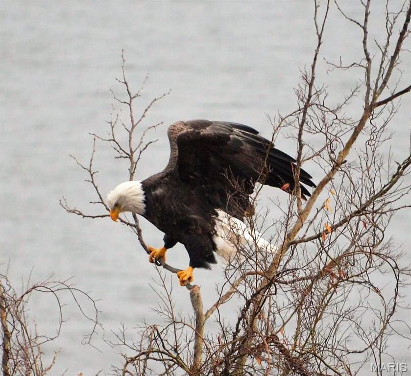 Emerald Pointe - Residential