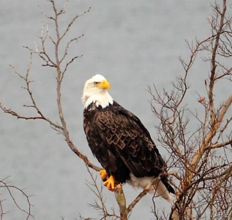 Emerald Pointe - Residential