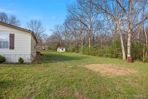Tiny photo for 290 Chapman Farm Road, Winfield, MO 63389 (MLS # 26020912)