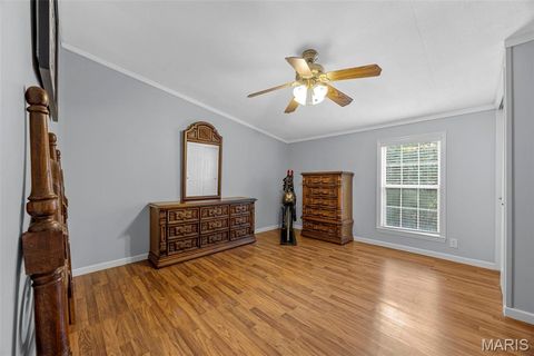Tiny photo for 290 Chapman Farm Road, Winfield, MO 63389 (MLS # 26020912)