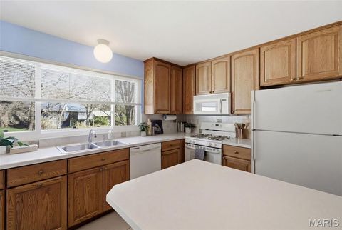 Tiny photo for 2166 Pheasant Run Drive, St Louis, MO 63043 (MLS # 26018971)