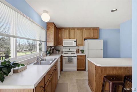 Tiny photo for 2166 Pheasant Run Drive, St Louis, MO 63043 (MLS # 26018971)