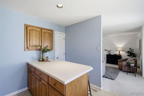 Tiny photo for 2166 Pheasant Run Drive, St Louis, MO 63043 (MLS # 26018971)