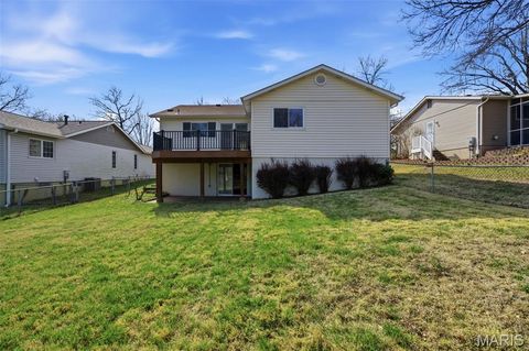 Tiny photo for 2166 Pheasant Run Drive, St Louis, MO 63043 (MLS # 26018971)