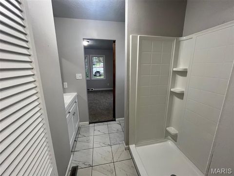 Tiny photo for 503 Bonnie Street, Potosi, MO 63664 (MLS # 26019161)