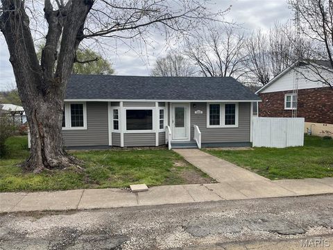 Photo of 503 Bonnie Street, Potosi, MO 63664 (MLS # 26019161)