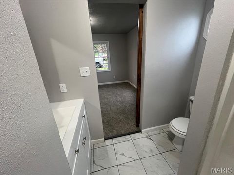 Tiny photo for 503 Bonnie Street, Potosi, MO 63664 (MLS # 26019161)