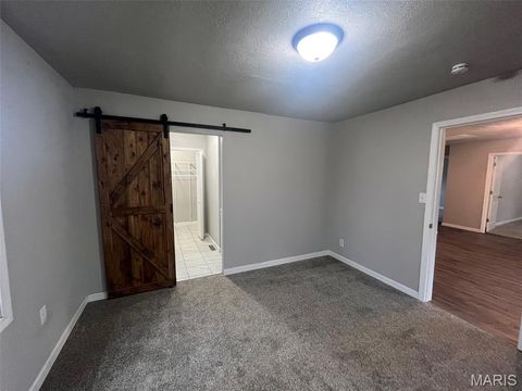 Tiny photo for 503 Bonnie Street, Potosi, MO 63664 (MLS # 26019161)