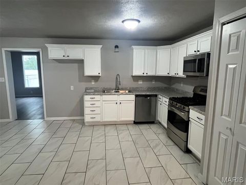 Tiny photo for 503 Bonnie Street, Potosi, MO 63664 (MLS # 26019161)