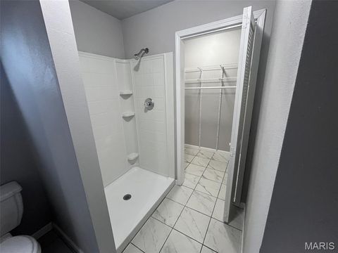 Tiny photo for 503 Bonnie Street, Potosi, MO 63664 (MLS # 26019161)