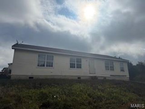Photo of 401 Julie Court, Elsberry, MO 63343 (MLS # 25065048)