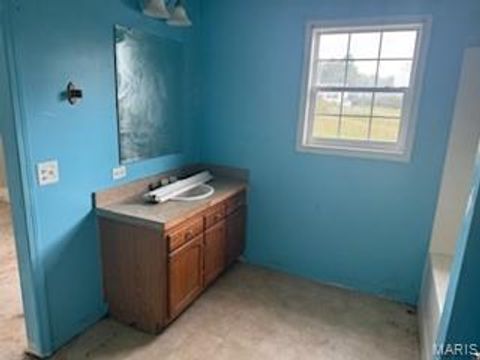 Tiny photo for 401 Julie Court, Elsberry, MO 63343 (MLS # 25065048)