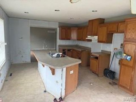 Tiny photo for 401 Julie Court, Elsberry, MO 63343 (MLS # 25065048)