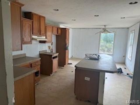 Tiny photo for 401 Julie Court, Elsberry, MO 63343 (MLS # 25065048)