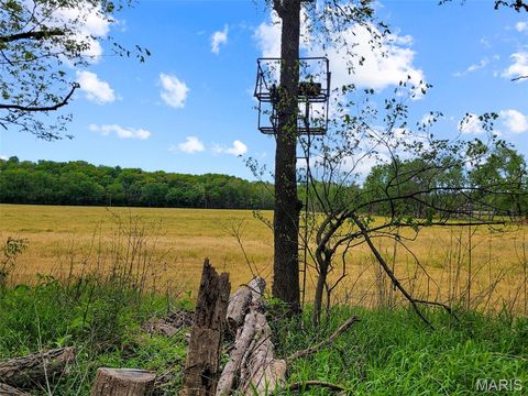 Tiny photo for 0 Old Cove Rd. (117.6+/- Acres) Road, St Clair, MO 63077 (MLS # 26011335)