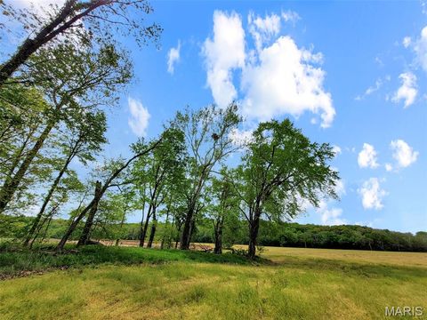 Tiny photo for 0 Old Cove Rd. (117.6+/- Acres) Road, St Clair, MO 63077 (MLS # 26011335)