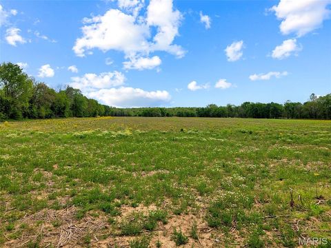 Tiny photo for 0 Old Cove Rd. (117.6+/- Acres) Road, St Clair, MO 63077 (MLS # 26011335)