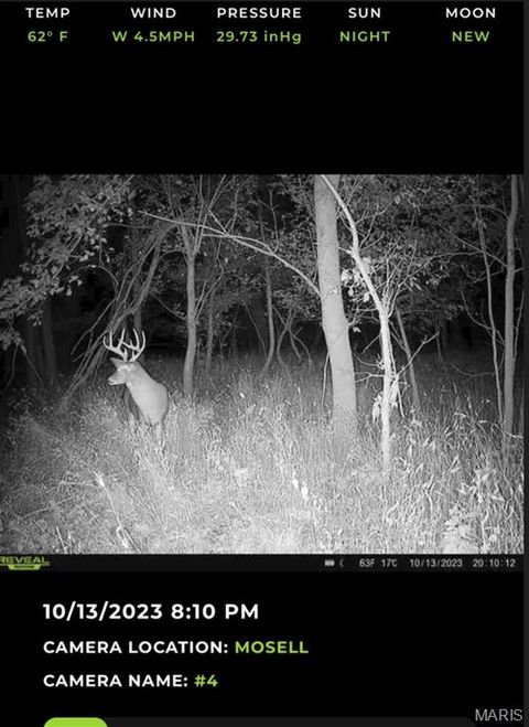 Tiny photo for 0 Old Cove Rd. (117.6+/- Acres) Road, St Clair, MO 63077 (MLS # 26011335)