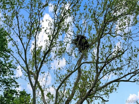 Tiny photo for 0 Old Cove Rd. (117.6+/- Acres) Road, St Clair, MO 63077 (MLS # 26011335)