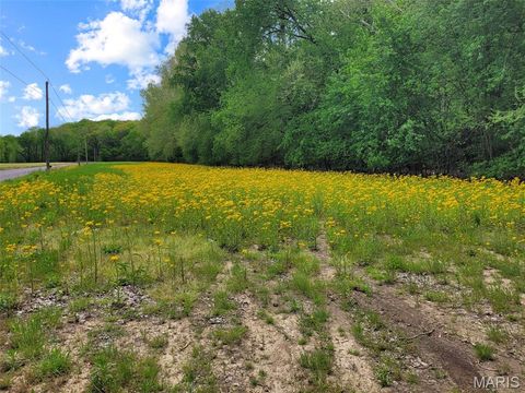 Tiny photo for 0 Old Cove Rd. (117.6+/- Acres) Road, St Clair, MO 63077 (MLS # 26011335)