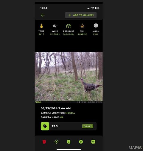 Tiny photo for 0 Old Cove Rd. (117.6+/- Acres) Road, St Clair, MO 63077 (MLS # 26011335)