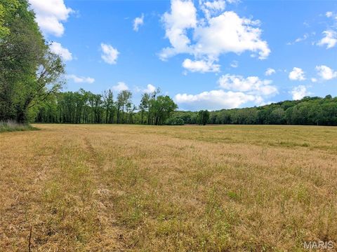 Tiny photo for 0 Old Cove Rd. (117.6+/- Acres) Road, St Clair, MO 63077 (MLS # 26011335)