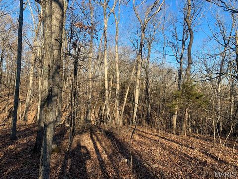 Tiny photo for 15 15+/- Acres Polston Ln., Marthasville, MO 63357 (MLS # 25058015)