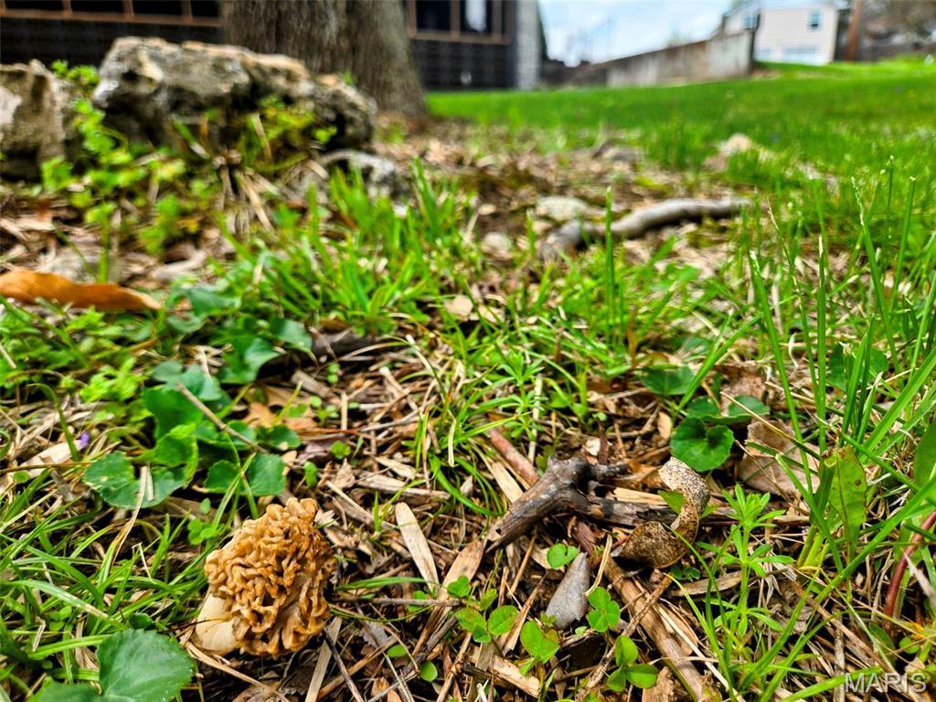 Richards/Hafner - Residential