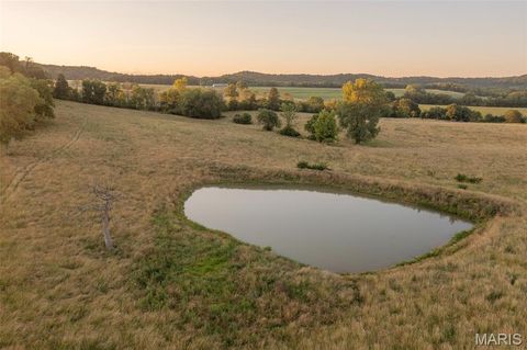 Tiny photo for 255 Gnade Road, Elsberry, MO 63343 (MLS # 25060754)