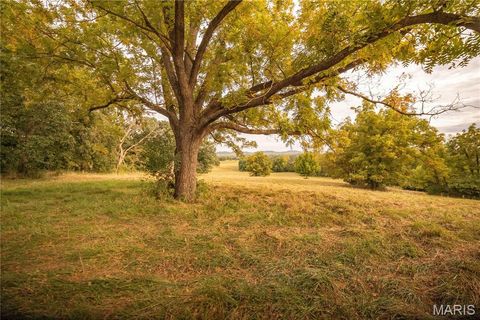 Tiny photo for 255 Gnade Road, Elsberry, MO 63343 (MLS # 25060754)
