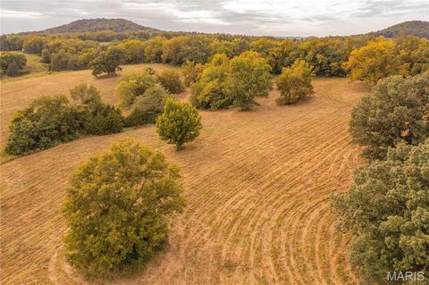 Tiny photo for 255 Gnade Road, Elsberry, MO 63343 (MLS # 25060754)