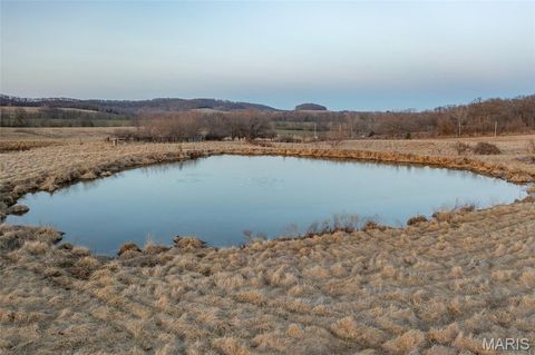 Photo of 255 Gnade Road, Elsberry, MO 63343 (MLS # 25060754)