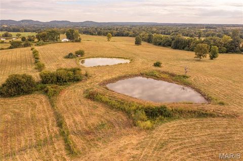 Tiny photo for 255 Gnade Road, Elsberry, MO 63343 (MLS # 25060754)