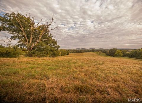 Photo of 255 Gnade Road, Elsberry, MO 63343 (MLS # 25060754)
