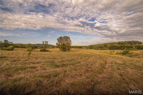 Tiny photo for 255 Gnade Road, Elsberry, MO 63343 (MLS # 25060754)