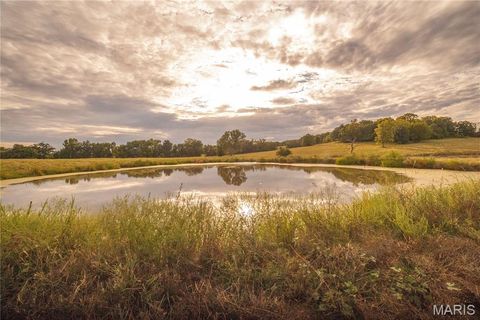 Tiny photo for 255 Gnade Road, Elsberry, MO 63343 (MLS # 25060754)