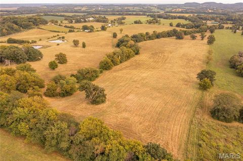 Tiny photo for 255 Gnade Road, Elsberry, MO 63343 (MLS # 25060754)