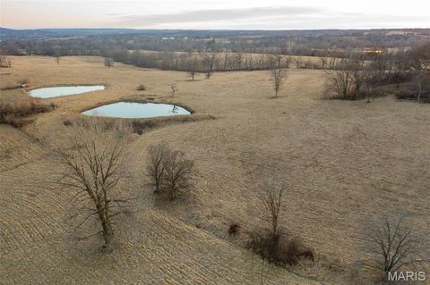 Tiny photo for 255 Gnade Road, Elsberry, MO 63343 (MLS # 25060754)