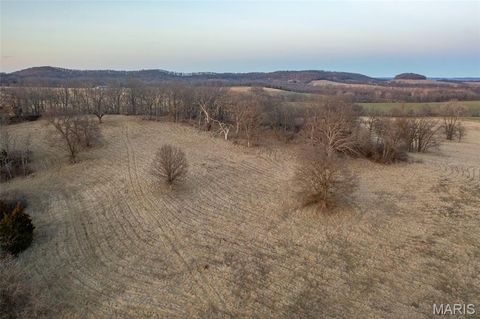 Tiny photo for 255 Gnade Road, Elsberry, MO 63343 (MLS # 25060754)