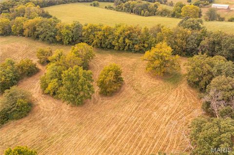 Tiny photo for 255 Gnade Road, Elsberry, MO 63343 (MLS # 25060754)