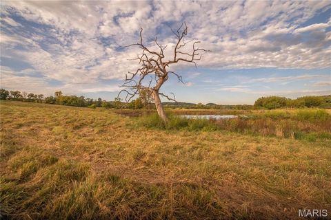 Tiny photo for 255 Gnade Road, Elsberry, MO 63343 (MLS # 25060754)