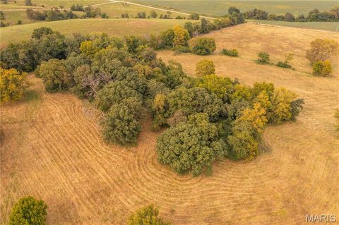 Tiny photo for 255 Gnade Road, Elsberry, MO 63343 (MLS # 25060754)