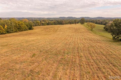 Tiny photo for 255 Gnade Road, Elsberry, MO 63343 (MLS # 25060754)