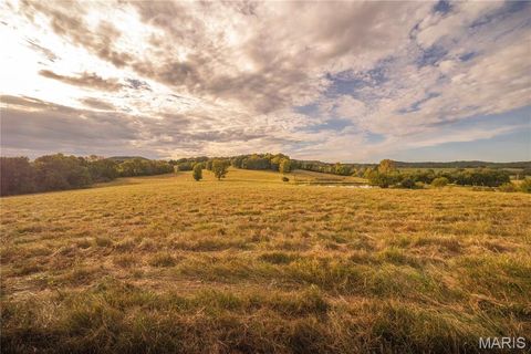 Tiny photo for 255 Gnade Road, Elsberry, MO 63343 (MLS # 25060754)